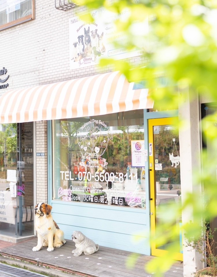 Natural Dog Salon Ohana